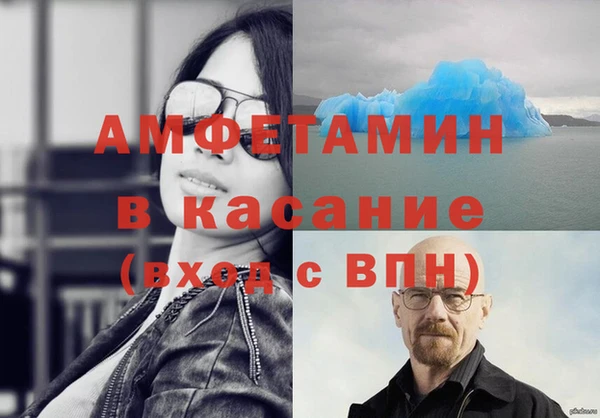 стафф Аркадак
