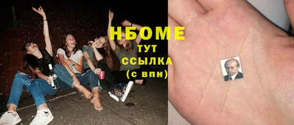 стафф Аркадак