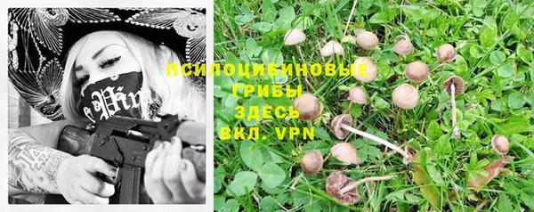 стафф Аркадак